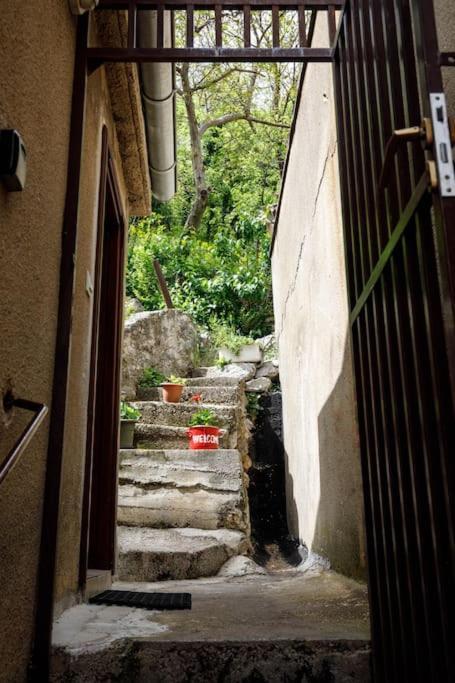 Apartment Old Town - Bambo Книн Экстерьер фото